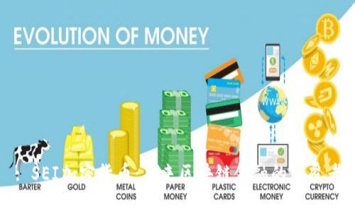 : SEI加密货币：未来区块链金融的颠覆者