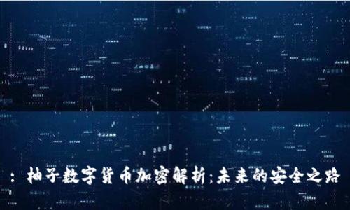: 柚子数字货币加密解析：未来的安全之路