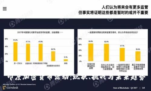 印度加密货币活动：现状、挑战与未来趋势