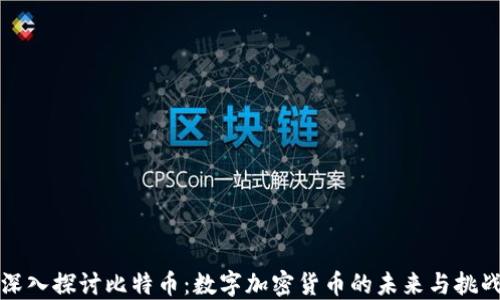 
深入探讨比特币：数字加密货币的未来与挑战