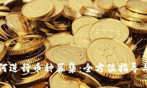 TP钱包如何进行币种募集：全方位指导与实用技巧
